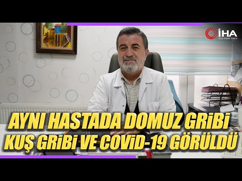 Artan Domuz Gribi Belirti Göstermeden Bulaşıyor