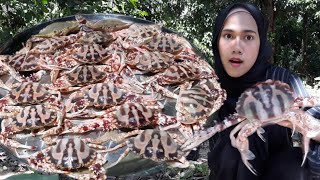 Masak lemak KETAM guna resepi RAHSIA