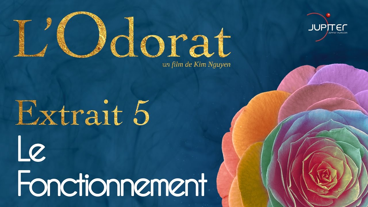 l'Odorat - Extrait N° 5 - Le Fonctionnement