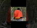 【見回りの先には】民家の裏山に潜むイノシシ【狩猟】 #wildboar #狩猟 #くくり罠