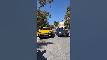 Chicks LOVE the PRIUS! 🚙💨