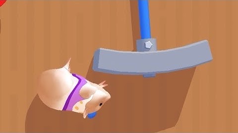 Hamster Maze - All Levels Gameplay Android, iOS