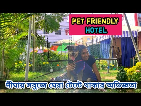 ভিডিও: স্যাম এর পোষা বন্ধুত্বপূর্ণ?