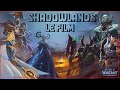 World of warcraft  shadowlands le film