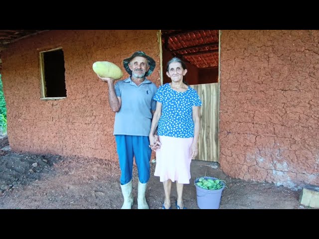 Hoje Minha Mãe Veio Ver Como Está Ficando a Casa🏡 +Fez Colheita Com Meu Pai de Maxixe e Pepina class=