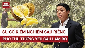 2.000 container sầu riêng xuất khẩu bị ùn ứ, Chính phủ yêu cầu làm rõ trách nhiệm | VTC News