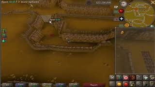 Most efficient rogues den run (watch till end epic ending)