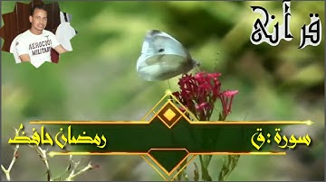 تلاوة بصوت ندى ومبكي  سورة  ق  كاملة للقارئ رمضان حافظ