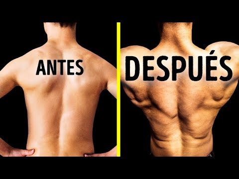 Video: Cómo Desarrollar Los Músculos De La Espalda En Casa