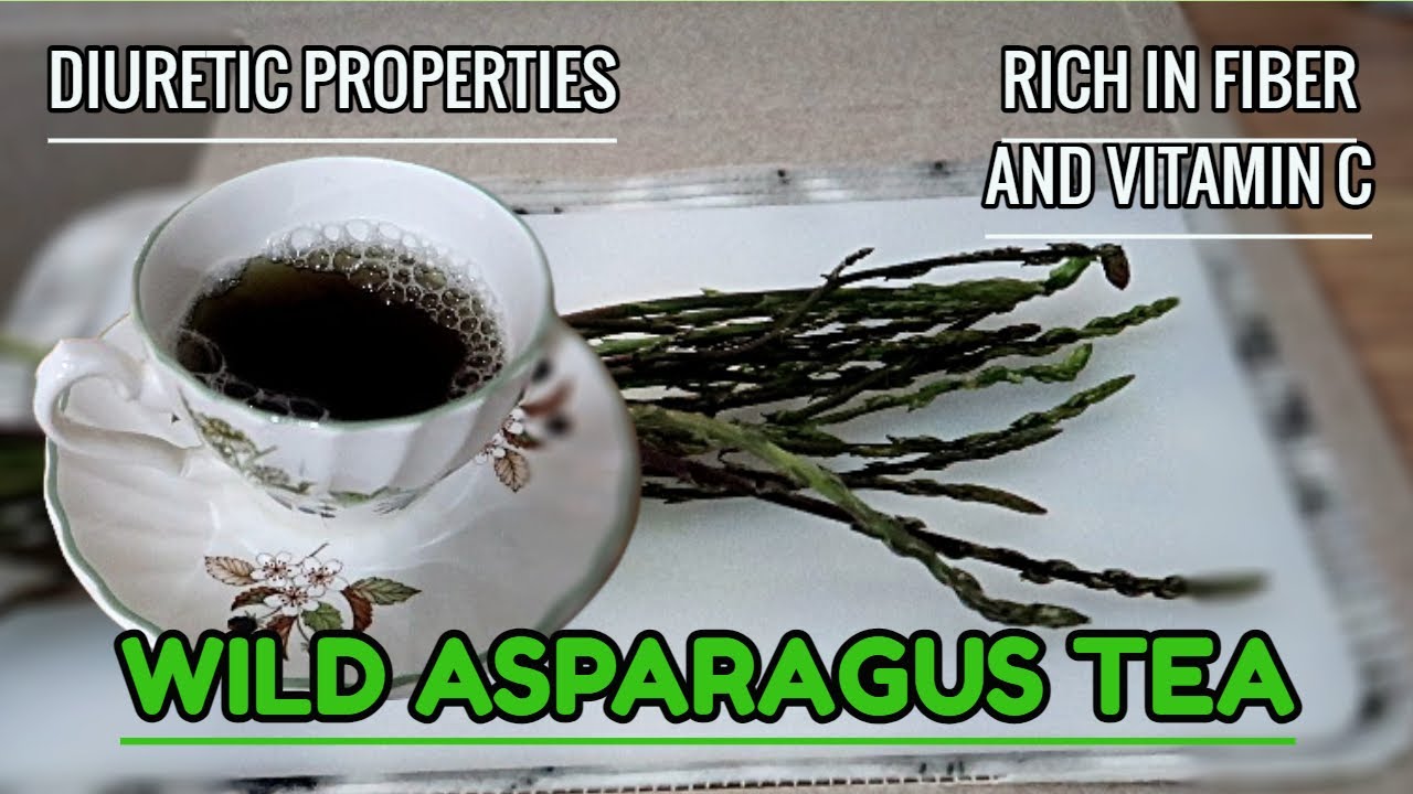 Nutrient dense ! How to Make WILD ASPARAGUS TEA + Health Benefits ...