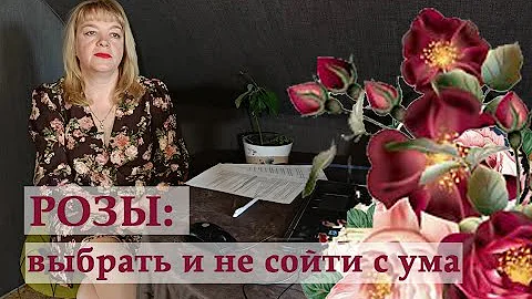Как выбрать розы для сада и не сойти с ума! Группы, селекция, мода, советы по подбору.