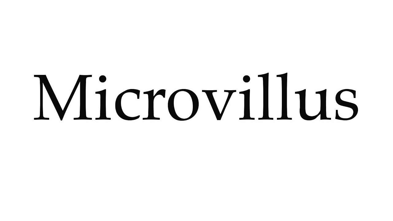 How to Pronounce Microvillus