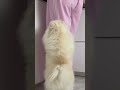 НА ЧТО СПОСОБНА КАССИ НА ЧТО СПОСОБНА КАССИ