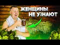 Как развлекались мужчины в СССР ?