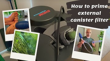 How to Prime an External Canister Filter?