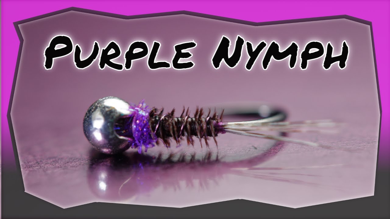Tying a small purple euro nymphing fly pattern on jig hook #20 