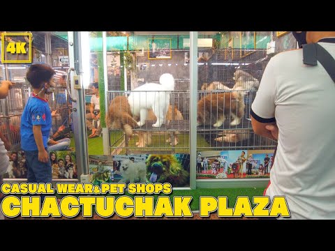 Chatuchak Plaza / ReOpen Gate! Shopping&Pet Zone