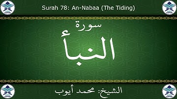 القرآن الكريم بصوت محمد أيوب - سورة النبأ