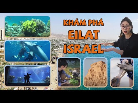 Video: Đi đâu ở Eilat