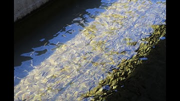 Calculating Density Index