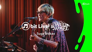 LIVE | スガ シカオ from 中津川 WILD WOOD 2025 - 19才/黄金の月