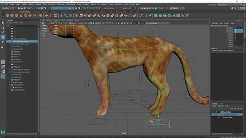 3D lecture MAYA Cat Animation - Part 22