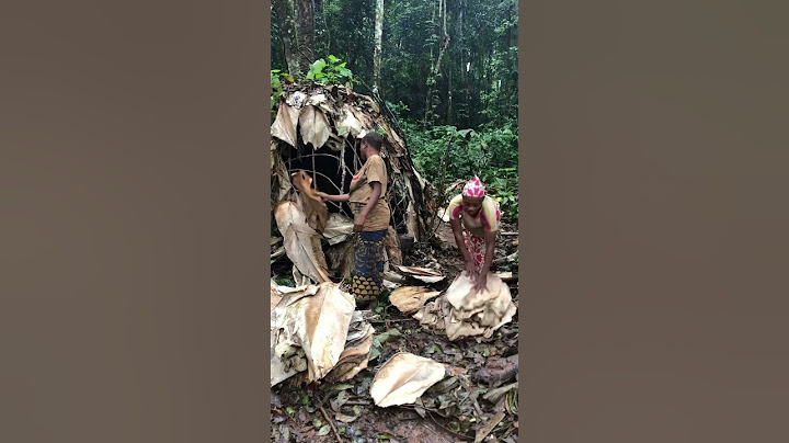 Vivir con los Pigmeos Baka. Selva de Cameroon! ©️Quim Fàbregas #reels #viral