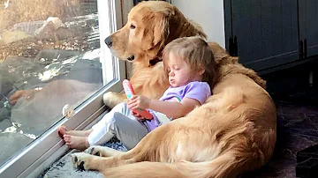 When your dog is the best babysitter