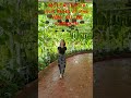 Mời các em học sinh và quý PHHS về phú yên ( cũ ) để tham quan check in nha, đẹp xuất sắc luôn 😍 thumbnail