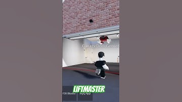 Garage Doors Opening | Liftmaster
