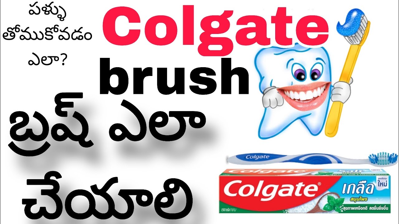 Colgate brush || 🪥 బ్రష్ చేయడం ఎలా || పళ్ళు తోముకోవడం ఎలా? || Manaandhrawala 