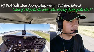 Kỹ thuật cất cánh đường băng mềm (soft field takeoff) với máy bay bánh lái mũi - Pilot Ly Tran screenshot 2