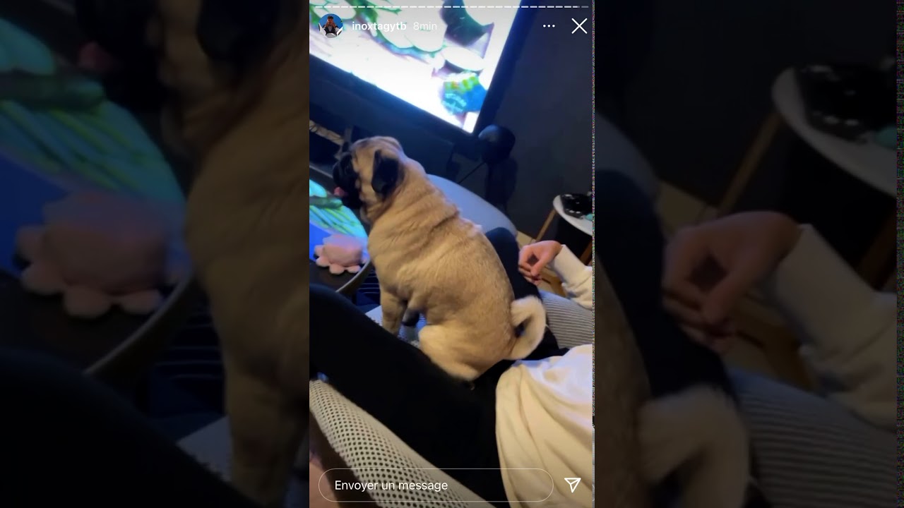 Voici le gars sur de Inoxtag