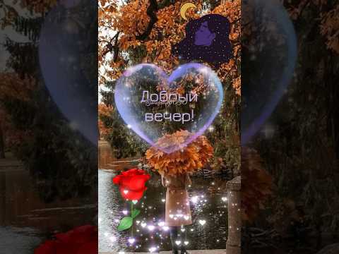 Добрый вечер Душевная песня