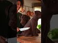 Dog's HILARIOUS Reaction to Realistic Dog Cake! 😱🐶 #isitcake #puppy #funnydog #funny #cute #doglife