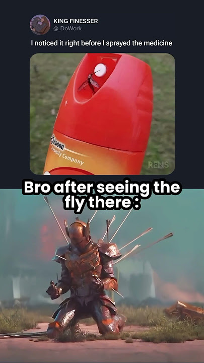 Bro after seeing the fly there 😞 #meme #memes #fyp