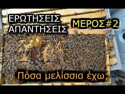 Βίντεο: Τι είναι τα ακάρεα της μέλισσας: Μάθετε για τον έλεγχο των ακάρεων για τις μέλισσες