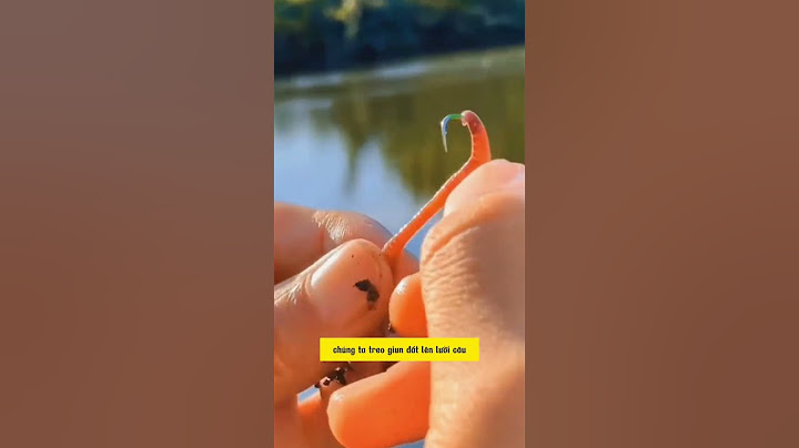 Móc giun câu cá đúng cách #cauca #dammecauca #fishing #fishingvideo #moicauca #moicau #câucá