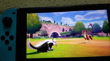 Catching a shiny liepard!