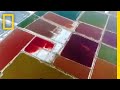 Основни идеи и заключения от видео