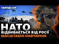 Зіткнення між НАТО і Росією реальне? Туск приїхав у Київ. Нові ініціативи Зеленського | Свобода Live