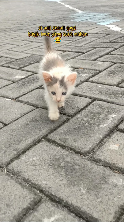 mode full bateray guys #shorts