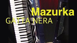 GATTA NERA Mazurka Fisarmonica e Sax balera ballo liscio mazurca chords