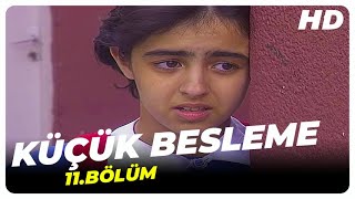 Küçük Besleme -  11.Bölüm