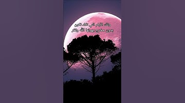 قرآن راحة نفسية🌼💙| ستوريات قران كريم || قرأن حالات واتس اب 🖤| ستوري أنستغرام قران | مقاطع قرأن قصيرة