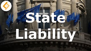 State Liability | EU Law Full Lecture