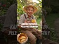 Boleh buat minum ketika rehat di kebun