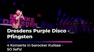 PURPLE DISCO MACHINE im Dresdner Zwinger I Sachsen Fernsehen