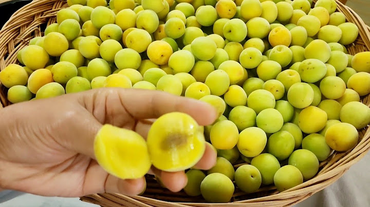 매실을 설탕에 절이지않고 이렇게 드세요!! 평생 건강하고 행복한 일이 됩니다/ 황금매실쨈 a golden plum