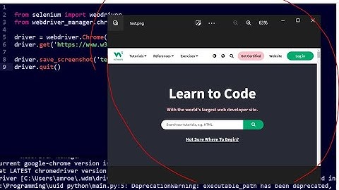 How to Take Webpage Screenshot using python